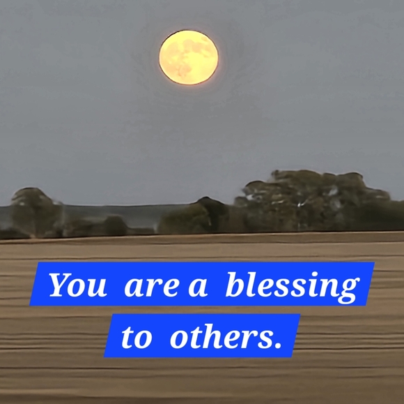 ⚾️⚾️ PLEASE.... no low balling... - Picture 5 of 16